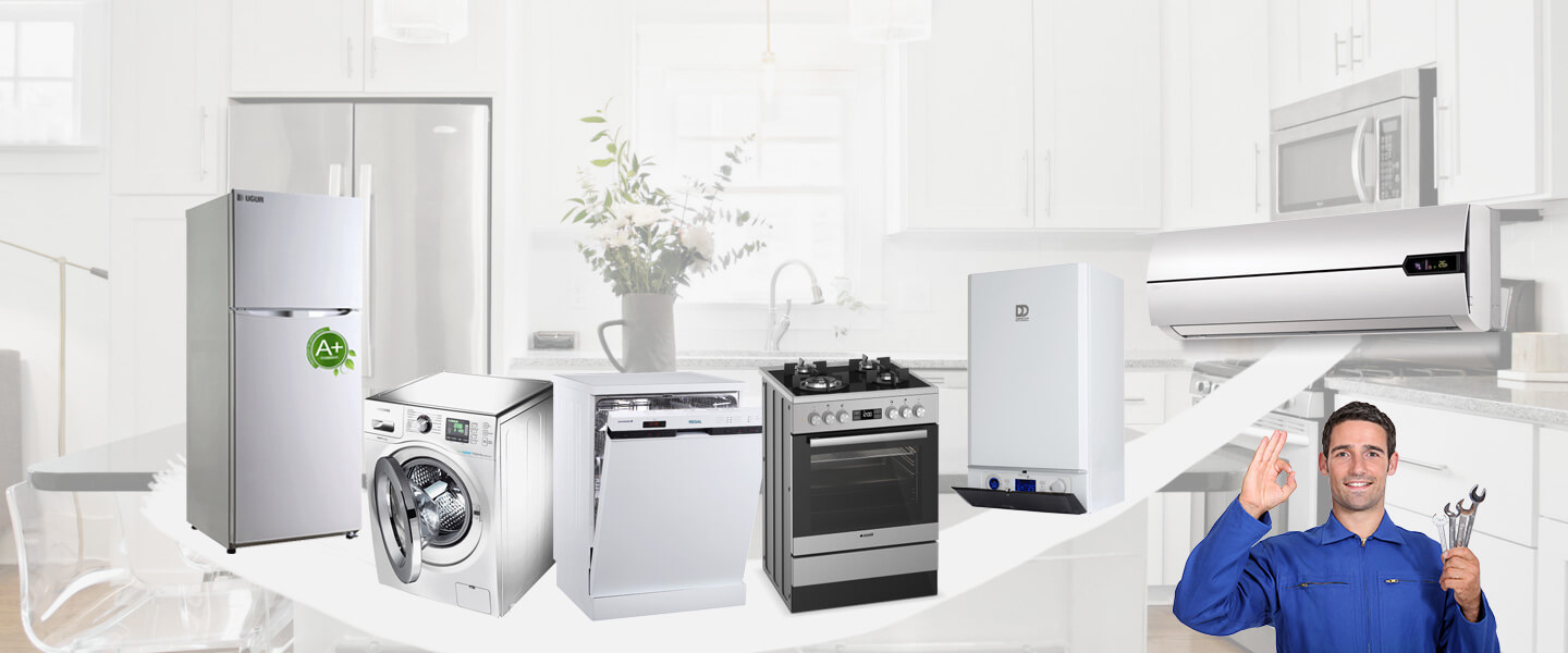 Lice Dominox Servisi